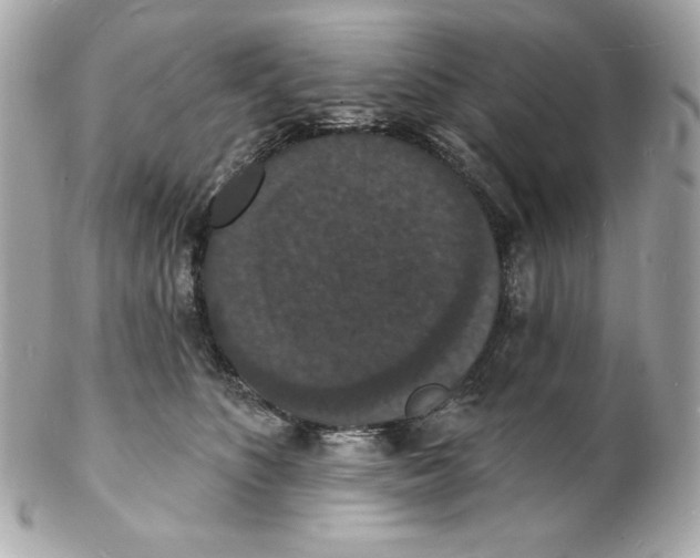 X0000102230516200808151733