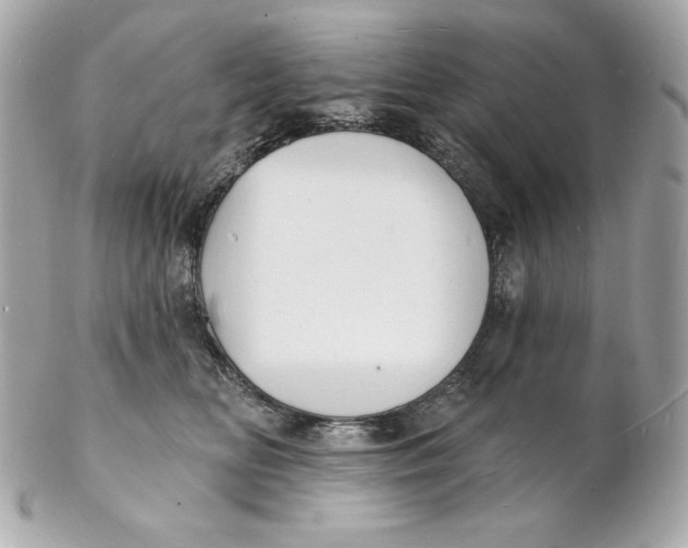 X0000102230518200808151733