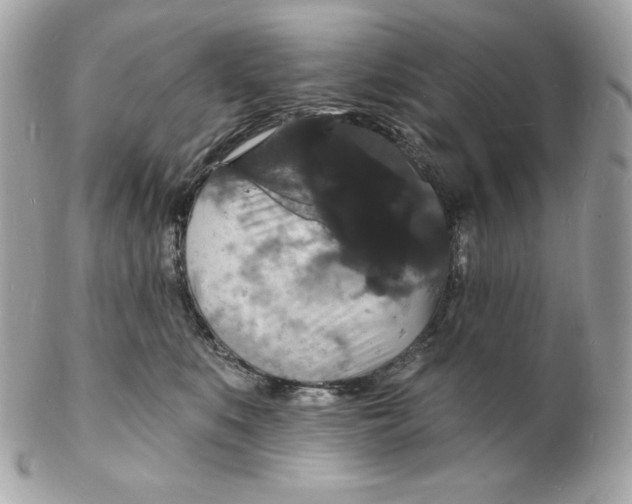 X0000102230519200808151733