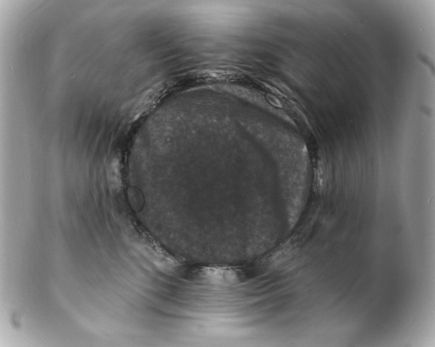 X0000102230520200808151733