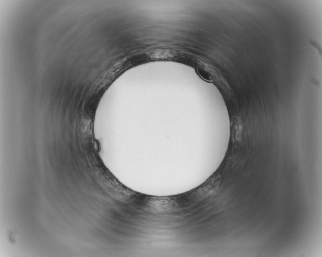 X0000102230521200808151733