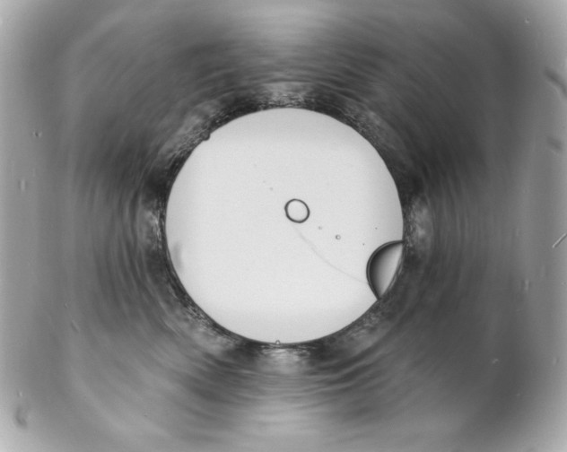 X0000102230522200808151733