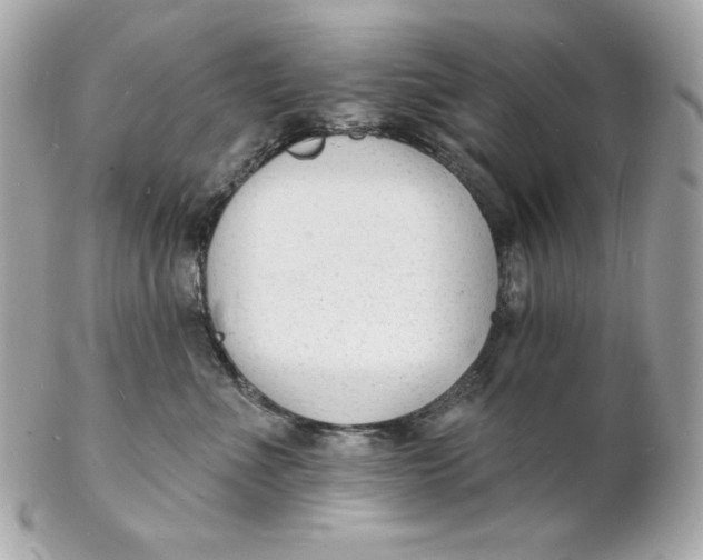 X0000102230523200808151733