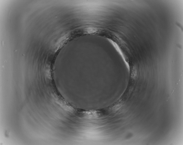 X0000102230524200808151733