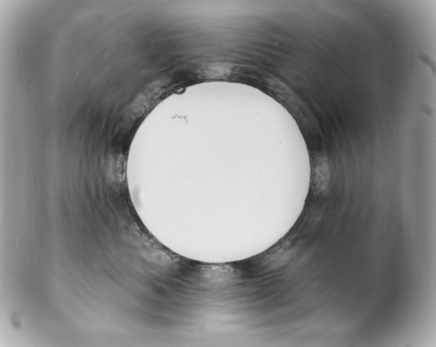 X0000102230525200808151733