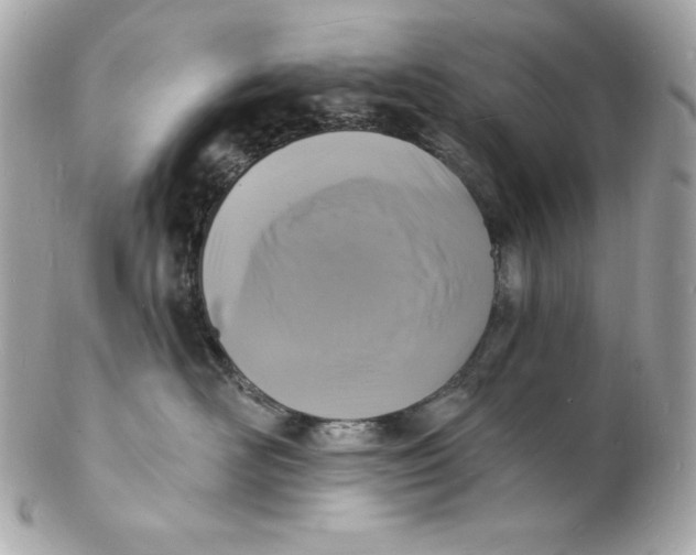 X0000102230526200808151733