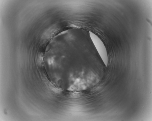 X0000102230527200808151733