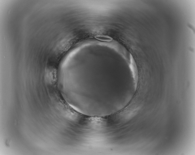 X0000102230528200808151733