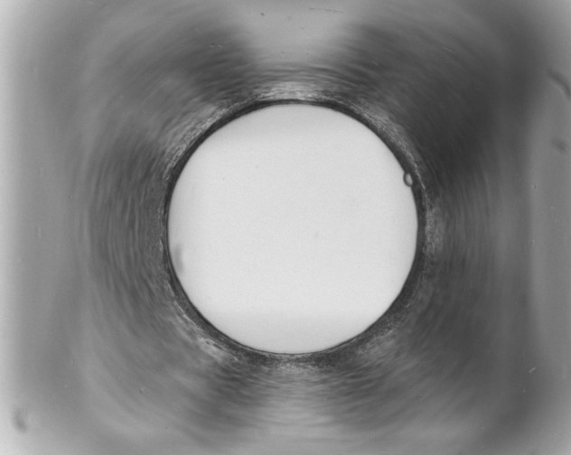X0000102230529200808151732