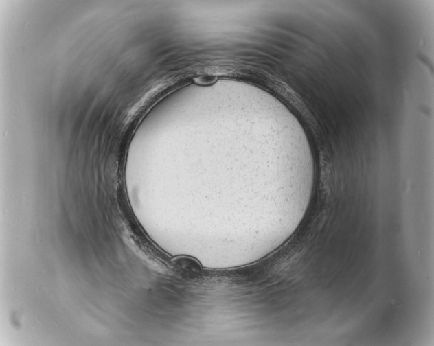 X0000102230530200808151732