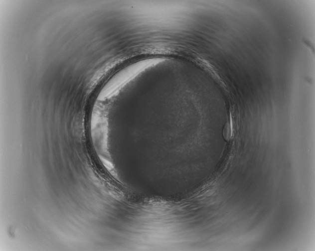 X0000102230531200808151732