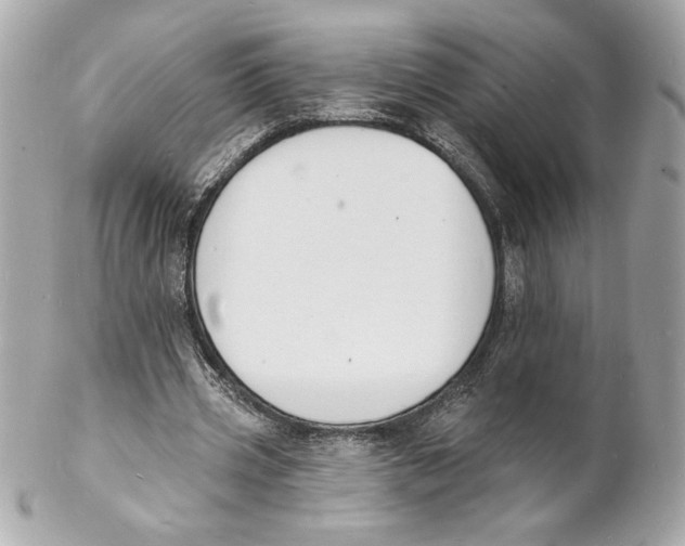 X0000102230533200808151732