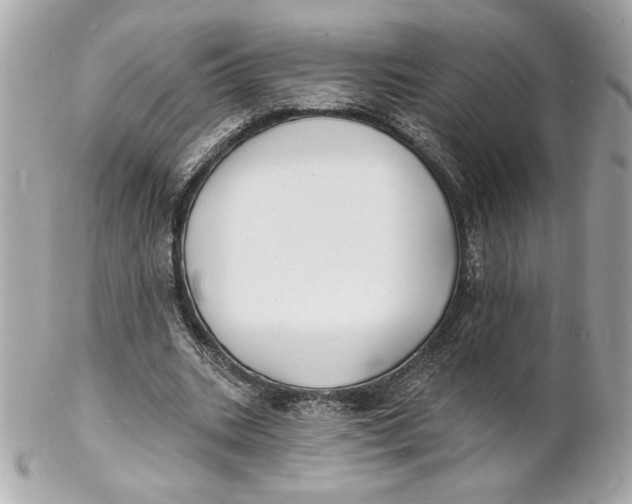X0000102230535200808151732