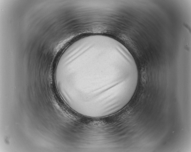 X0000102230536200808151732