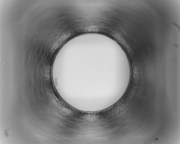 X0000102230537200808151732
