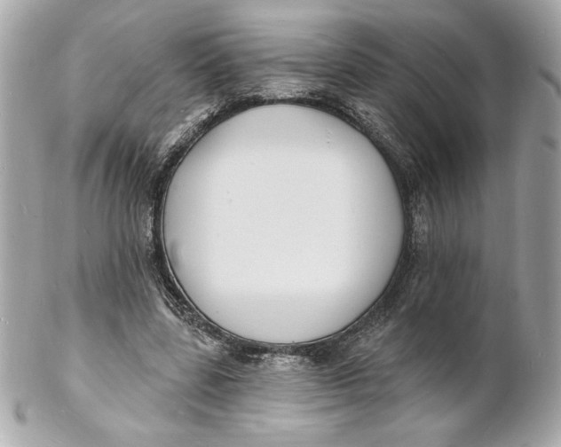 X0000102230539200808151732