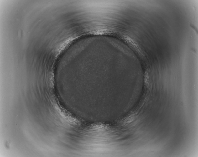 X0000102230540200808151732