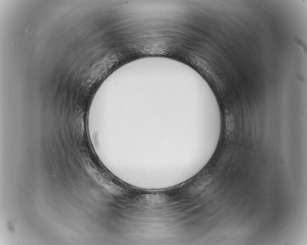 X0000102230541200808151732
