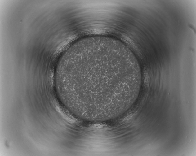 X0000102230542200808151732