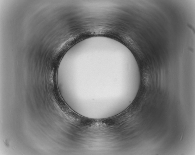 X0000102230543200808151732