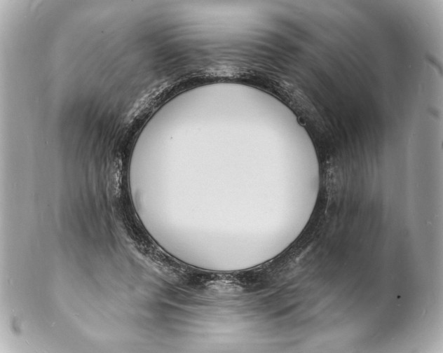 X0000102230544200808151732