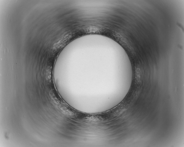 X0000102230545200808151732