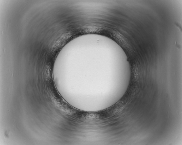 X0000102230546200808151732