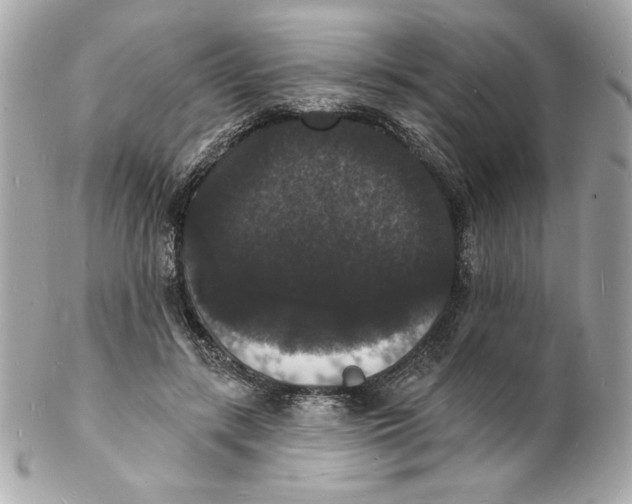 X0000102230547200808151732