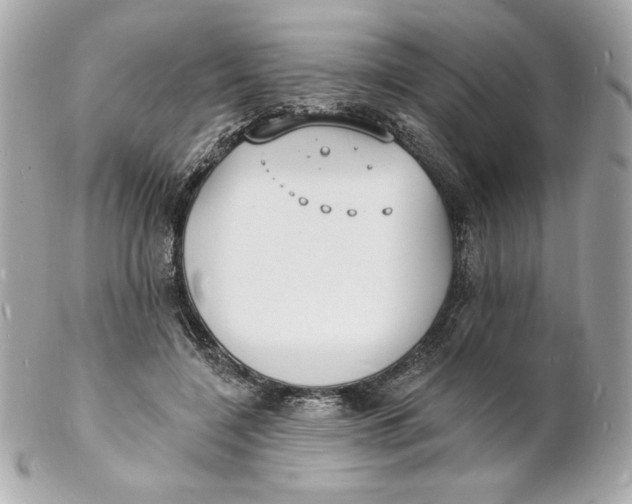 X0000102230548200808151732