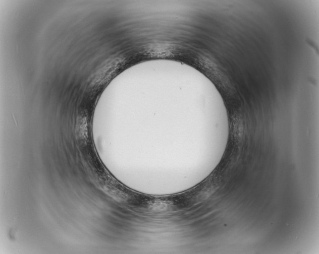 X0000102230549200808151732