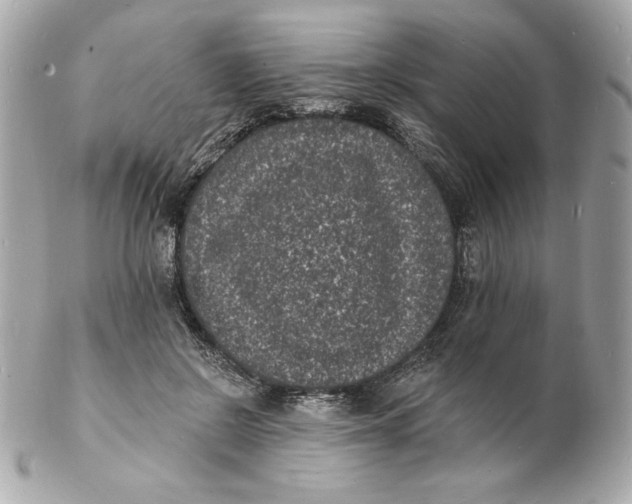 X0000102230550200808151732