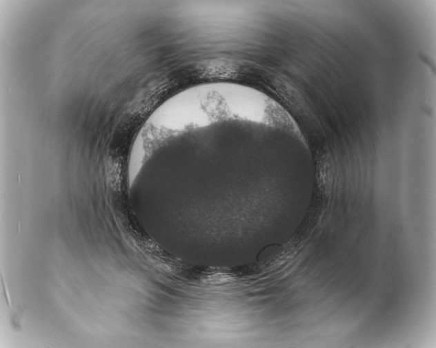 X0000102230551200808151732