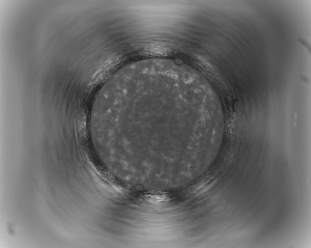 X0000102230552200808151732