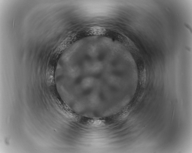 X0000102230553200808151732