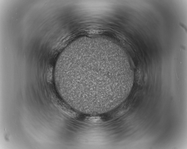 X0000102230554200808151732