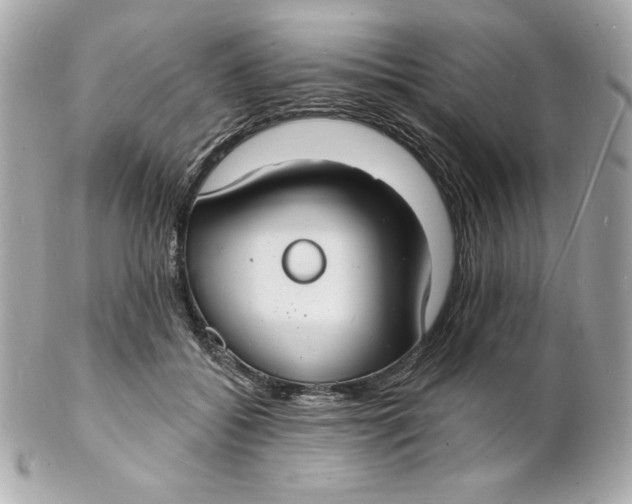 X0000102230556200808151732