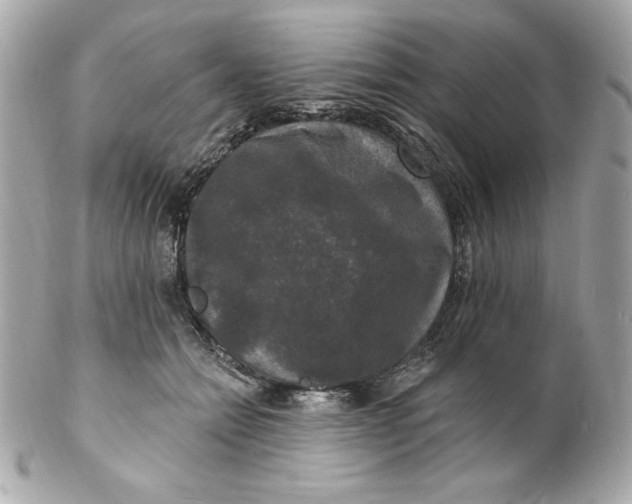 X0000102230558200808151732