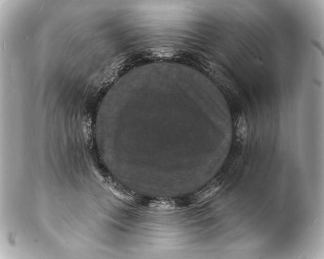 X0000102230559200808151732