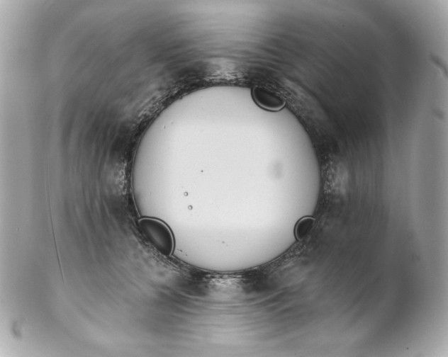 X0000102230560200808151732