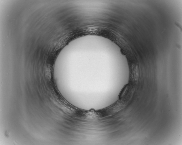 X0000102230562200808151732