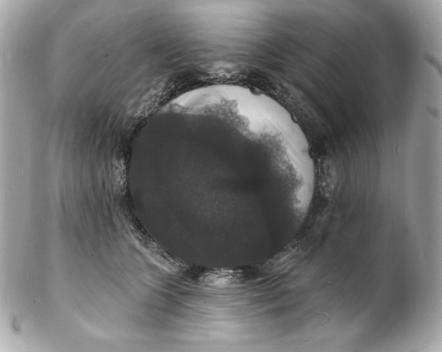 X0000102230563200808151732