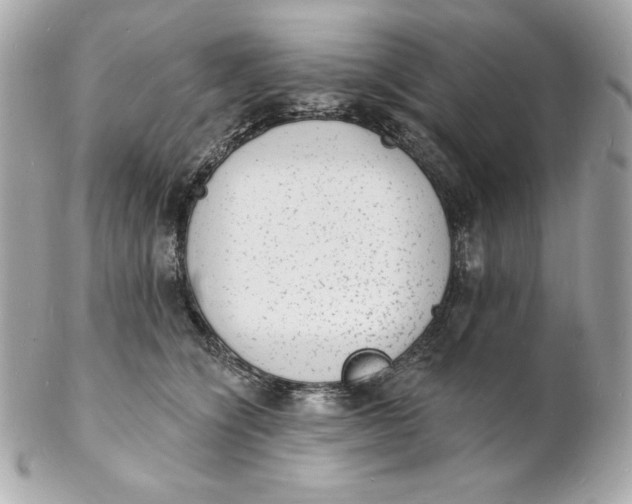 X0000102230564200808151732