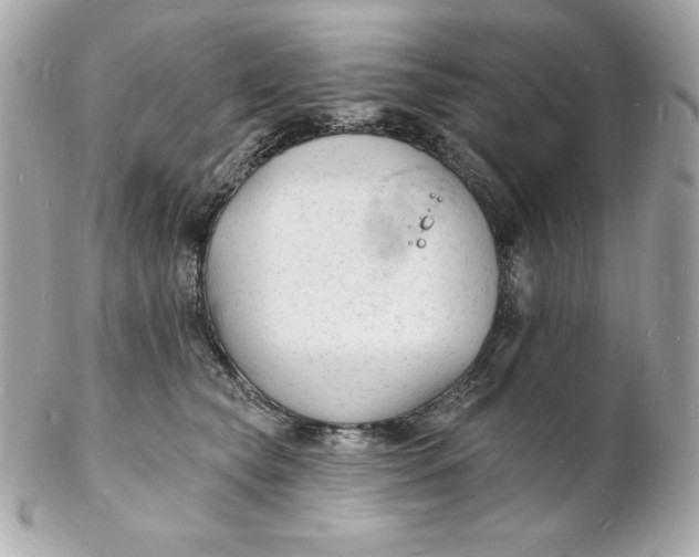 X0000102230565200808151732