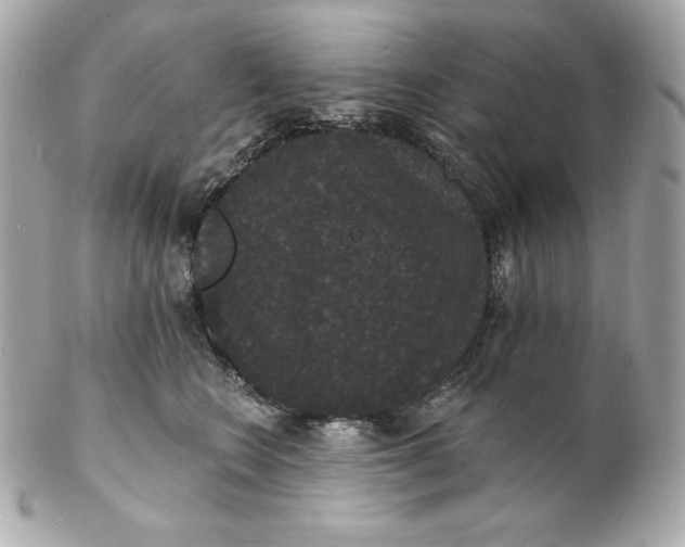 X0000102230566200808151732