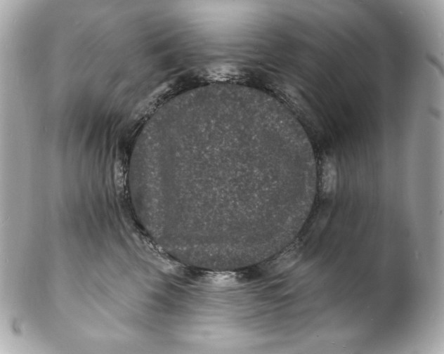 X0000102230569200808151732