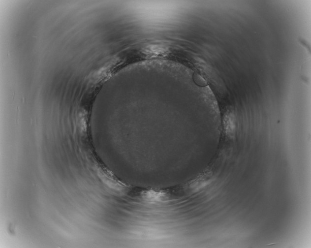 X0000102230570200808151732