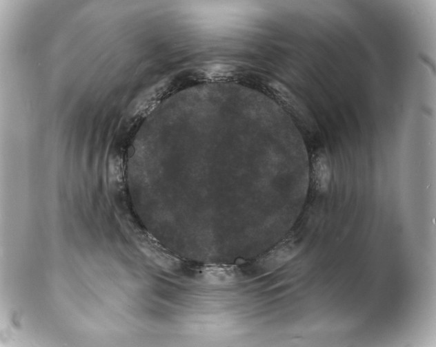 X0000102230571200808151732