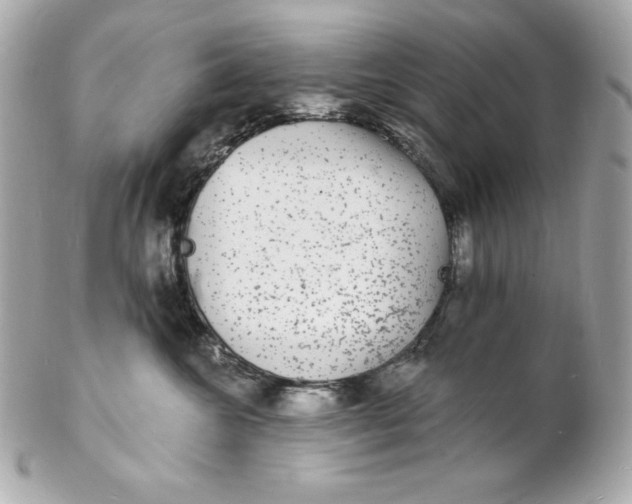 X0000102230572200808151732