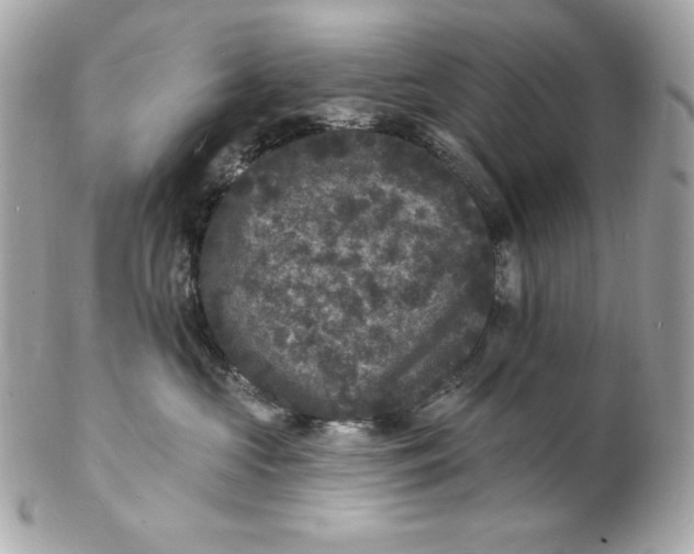 X0000102230573200808151733
