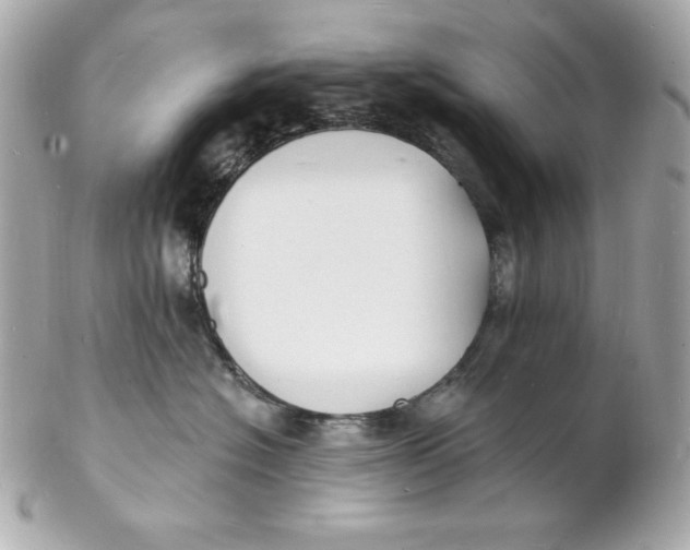 X0000102230574200808151733